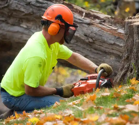 tree services Manorville